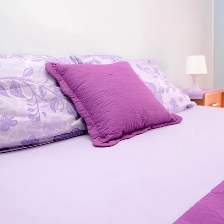 Apartments Amico Zadar Exterior photo